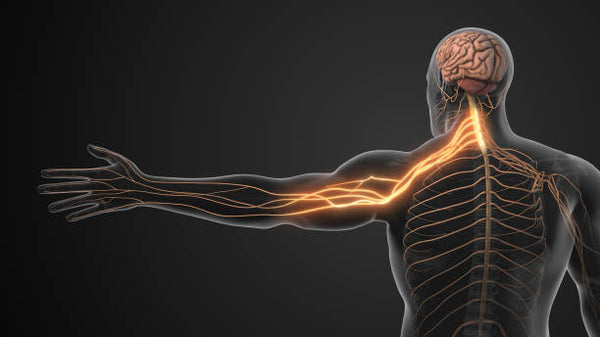 Neuropathy vs. Muscle Cramps — and How to Relieve Both